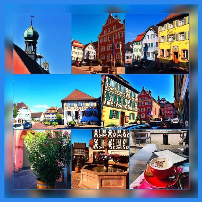 Fewo-Barbara, Ruhige Lage, 15 Min. Zum Europapark Ettenheim Luaran gambar